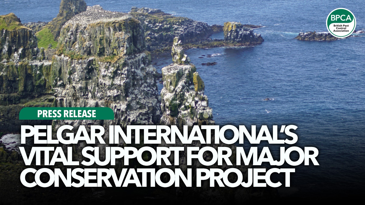 pelgar-rathlin-island-story-hero